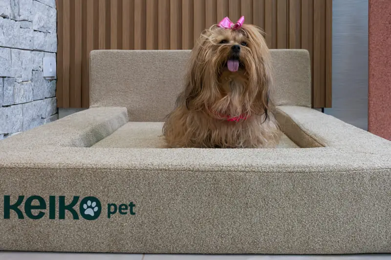 camapet-keiko-pequena-bege