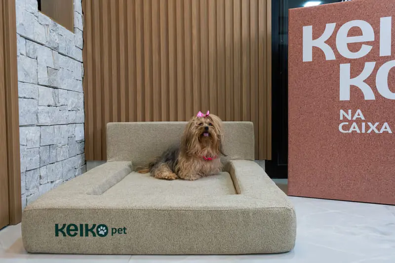 camapet-keiko-pequena-bege