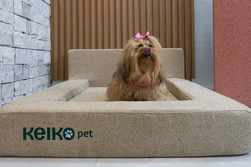 camapet-keiko-pequena-bege-cachorros